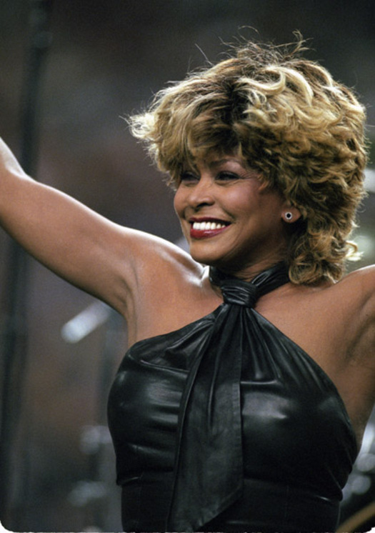 Tina Turner - Gallery Colection