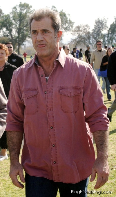 mel gibson. Mel Gibson Might Cough Up $500